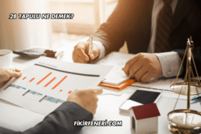 2B Tapulu Ne Demek?