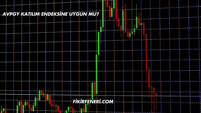 AVPGY Katılım Endeksine Uygun mu?