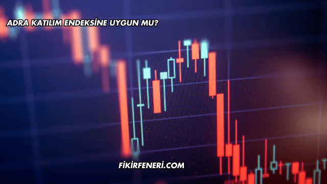Adra Katılım Endeksine Uygun mu?
