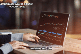 Amerika'da Nelere Yatırım Yapılmalıdır?