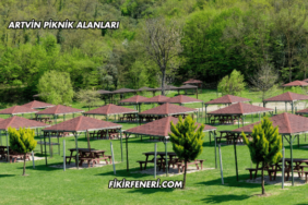 Artvin Piknik Alanları