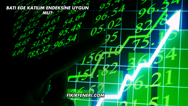 Batı Ege Katılım Endeksine Uygun mu?