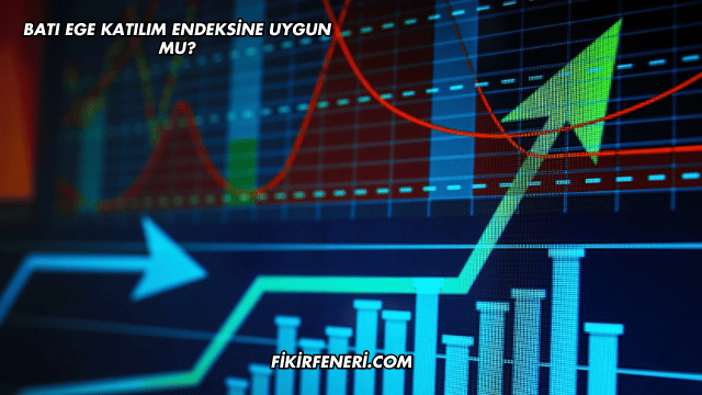 Batı Ege Katılım Endeksine Uygun mu?