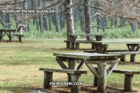 Bodrum Piknik Alanları