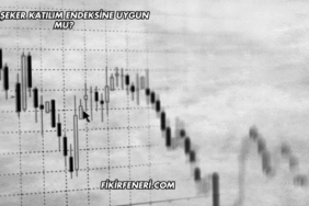 Bor Şeker Katılım Endeksine Uygun mu?