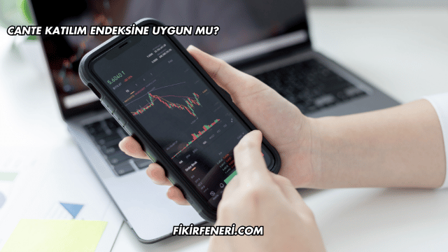 CANTE Katılım Endeksine Uygun mu?