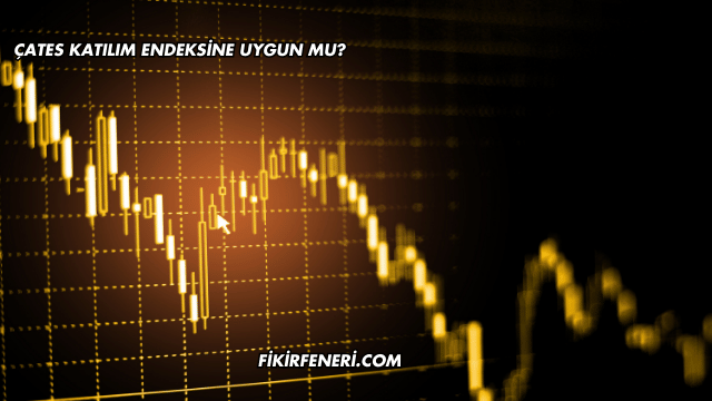 ÇATES Katılım Endeksine Uygun mu?