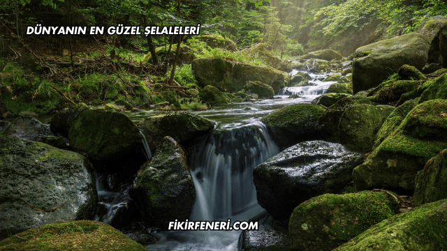 Dünyanın En Güzel Şelaleleri