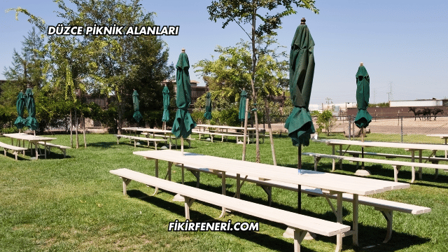 Düzce Piknik Alanları