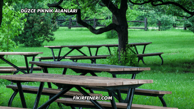 Düzce Piknik Alanları