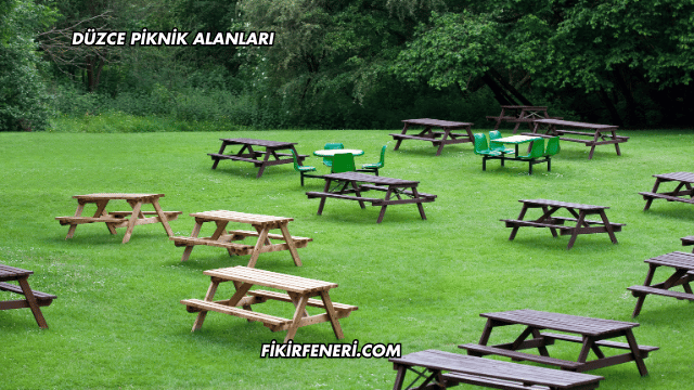 Düzce Piknik Alanları