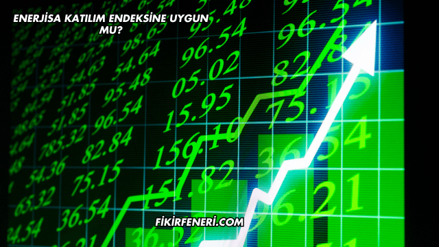 Enerjisa Katılım Endeksine Uygun mu?