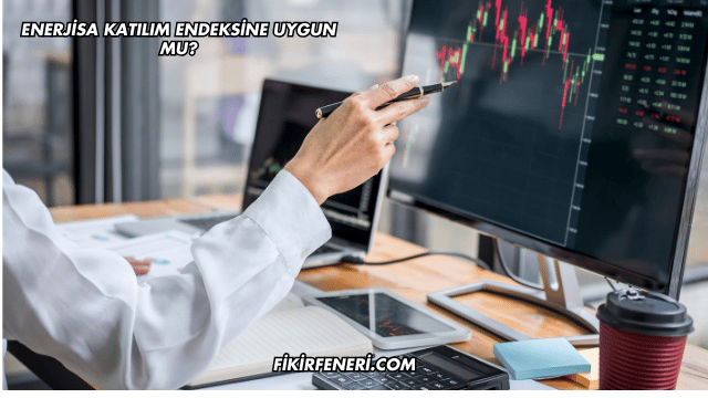 Enerjisa Katılım Endeksine Uygun mu?