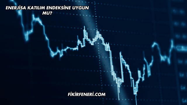 Enerjisa Katılım Endeksine Uygun mu?