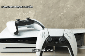 Hamster Kombat Nedir?