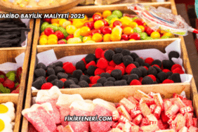 Haribo Bayilik Maliyeti 2025