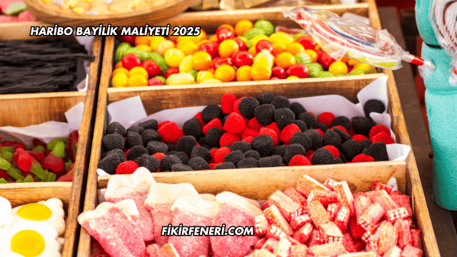 Haribo Bayilik Maliyeti 2025