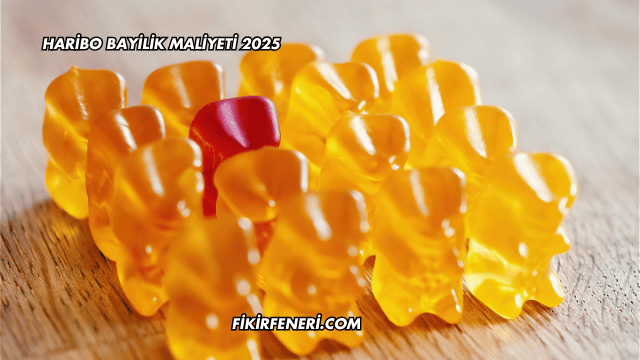 Haribo Bayilik Maliyeti 2025