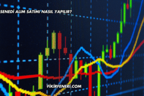 Hisse Senedi Alım Satımı Nasıl Yapılır?