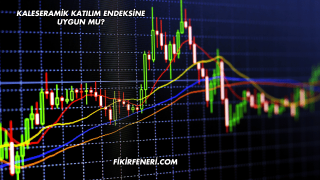 Kaleseramik Katılım Endeksine Uygun mu?