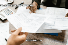 Konut Başlangıçları Raporu Nedir?