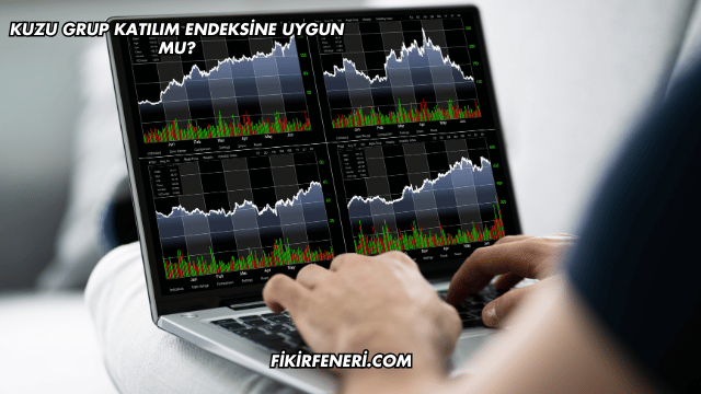 Kuzu Grup Katılım Endeksine Uygun mu?