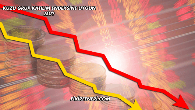 Kuzu Grup Katılım Endeksine Uygun mu?