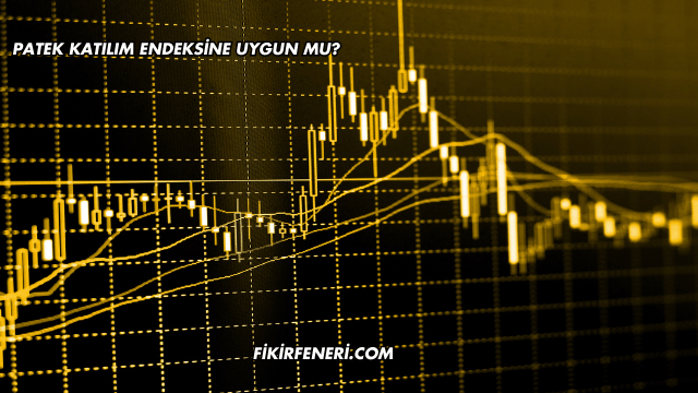 Patek Katılım Endeksine Uygun mu?