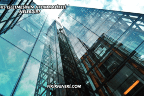 Şahıs İşletmesinin Aylık Maliyeti Nelerdir?