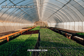 Sera Açma Maliyeti 2025