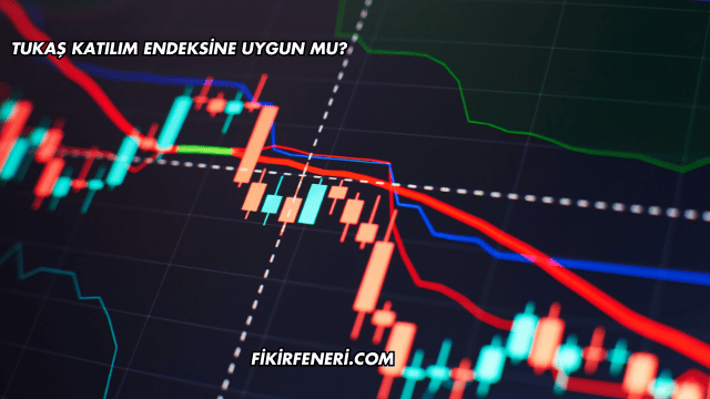 Tukaş Katılım Endeksine Uygun mu?