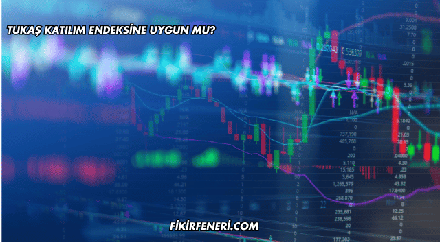 Tukaş Katılım Endeksine Uygun mu?