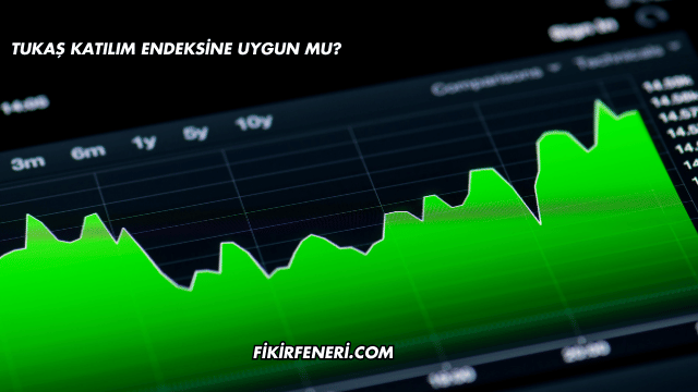 Tukaş Katılım Endeksine Uygun mu?