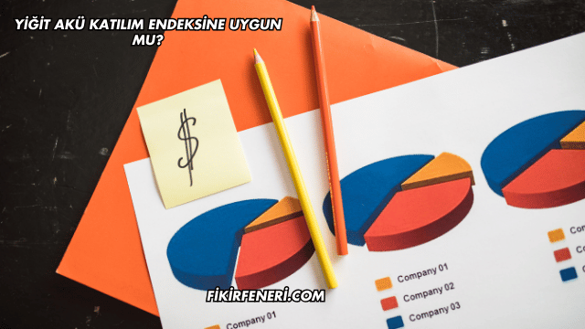 Yiğit Akü Katılım Endeksine Uygun mu?