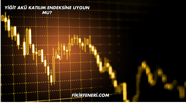 Yiğit Akü Katılım Endeksine Uygun mu?