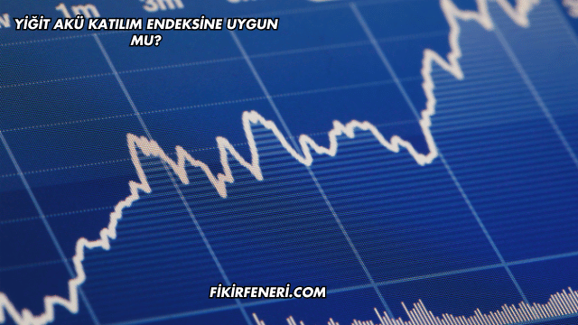 Yiğit Akü Katılım Endeksine Uygun mu?