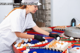 Yumurta Paketleme Tesisi Maliyeti 2025