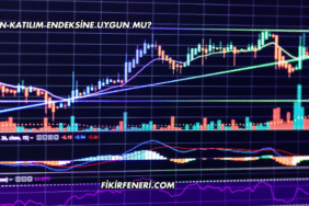 Zoren Katılım Endeksine Uygun mu?