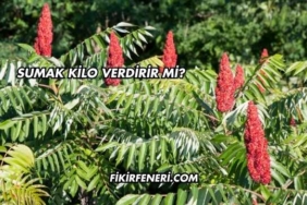 Sumak Kilo Verdirir mi?